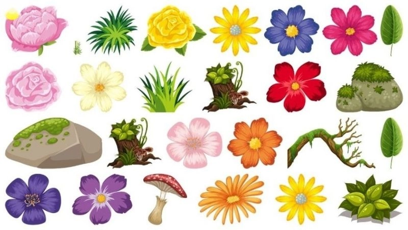 Câu đố cho trẻ em theo chủ đề cây cối dễ hiểu