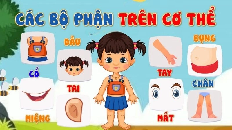 Câu đố cho bé 6 tuổi về các bộ phận cơ thể hay