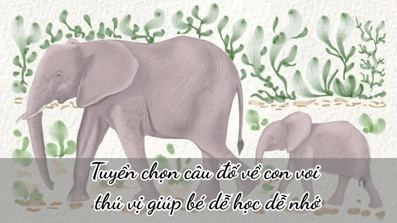 Tuyển chọn câu đố về con voi thú vị giúp bé dễ học dễ nhớ