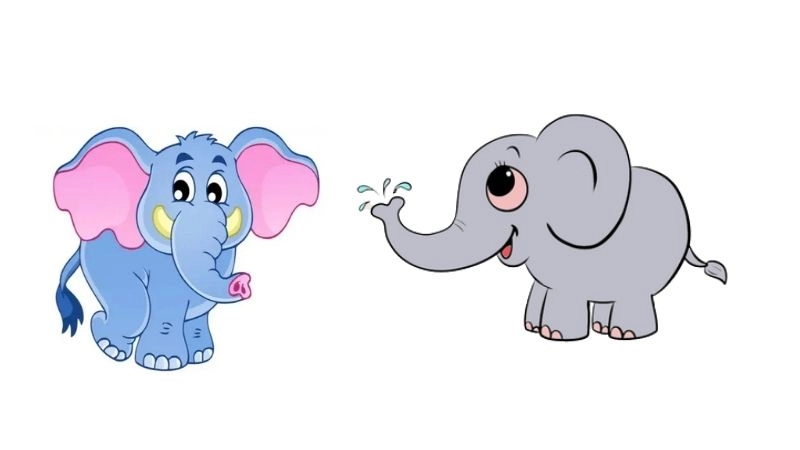 Câu đố về con voi thú vị kích thích trí tò mò
