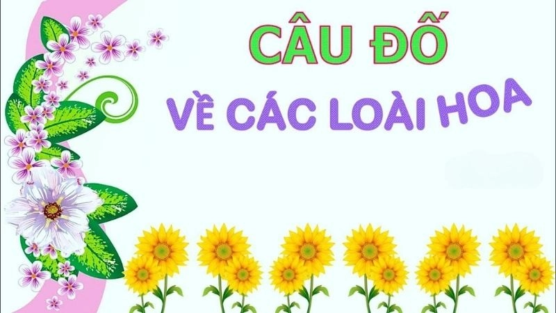 Khám phá câu đố về hoa khiến bạn bật cười vì lời giải