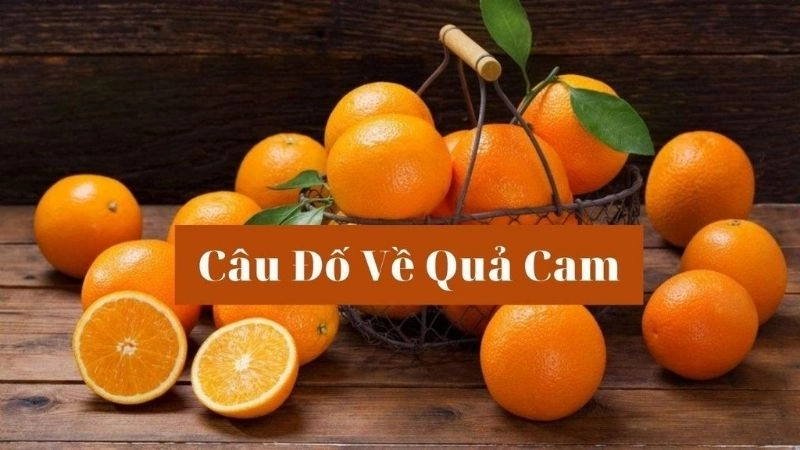 Tuyển tập câu đố về quả cam cho bé vui học và tư duy logic