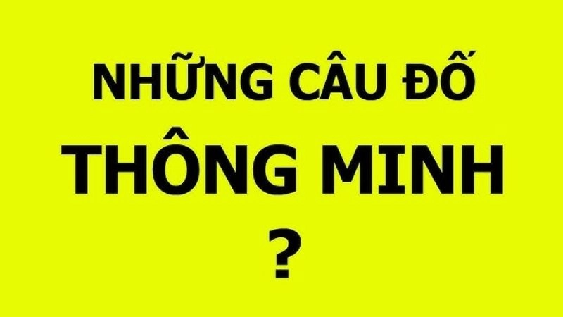 Khám phá kho tàng câu đố thông minh kích thích trí tuệ
