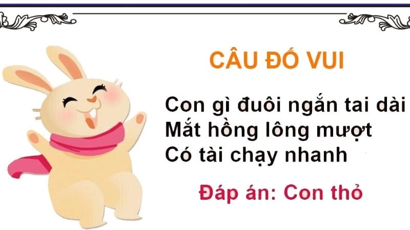 Câu đố về con thỏ đáng yêu tạo hứng thú học tập