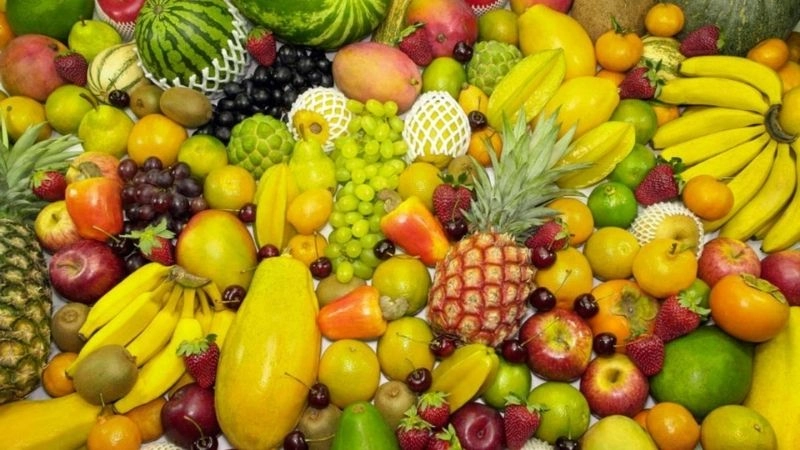 Câu đố về quả khám phá thế giới trái cây đầy màu sắc