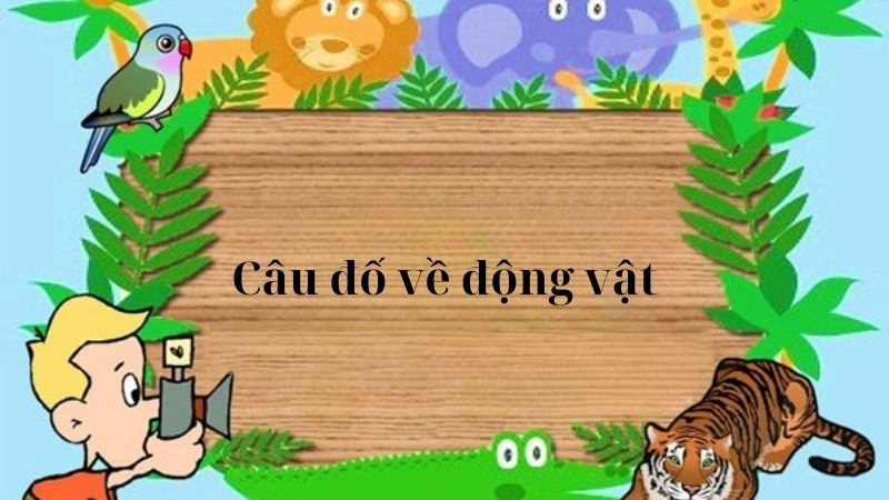 Tổng hợp câu đố về động vật cực thú vị cho bé - Có đáp án