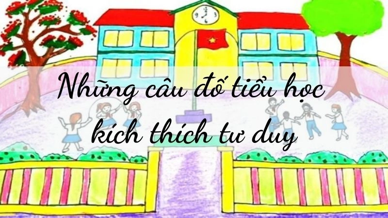 Những câu đố tiểu học kích thích tư duy cho trẻ mỗi ngày
