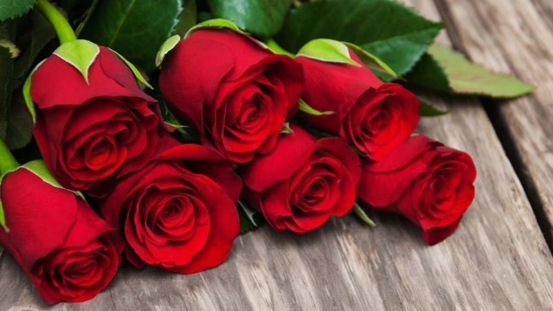 Ý nghĩa của câu đố về hoa hồng nuôi dưỡng cảm xúc đẹp