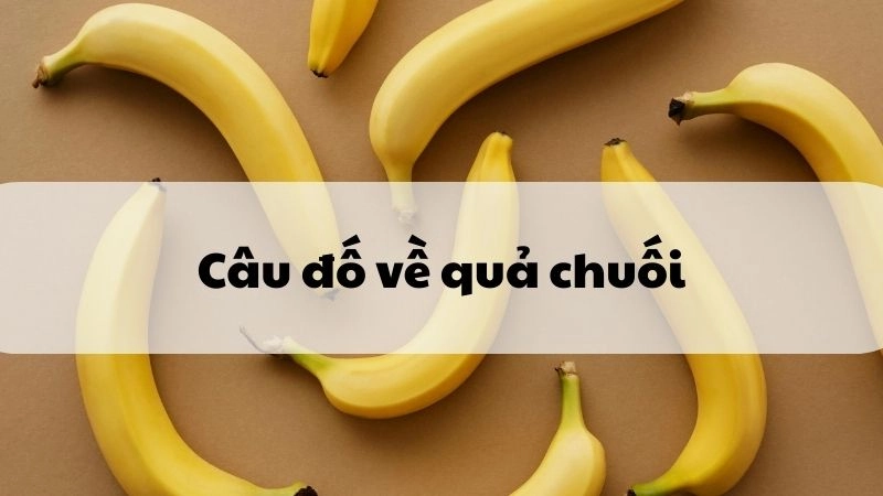 Giải trí cùng câu đố về quả chuối giàu trí tuệ dân gian