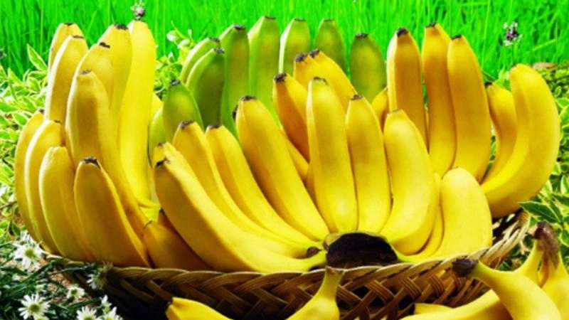 Câu đố về quả chuối giúp bé làm quen trái cây