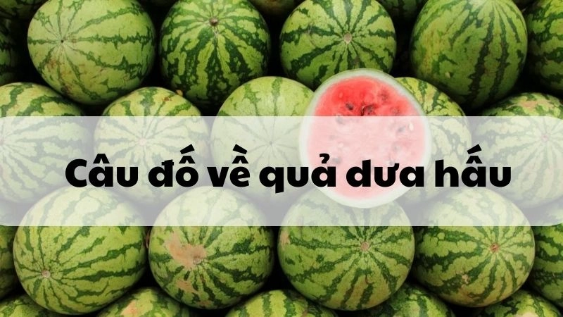 Câu đố về quả dưa hấu thú vị giúp bé rèn trí thông minh