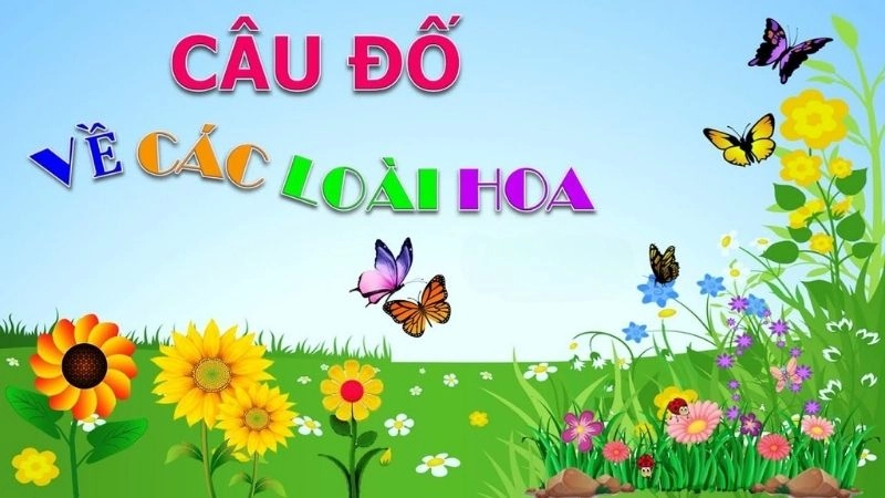 Tổng hợp câu đố về các loài hoa độc đáo và hấp dẫn nhất