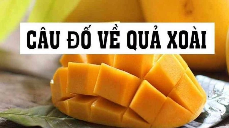 Câu đố về quả xoài đơn giản và kích thích tư duy cho bé