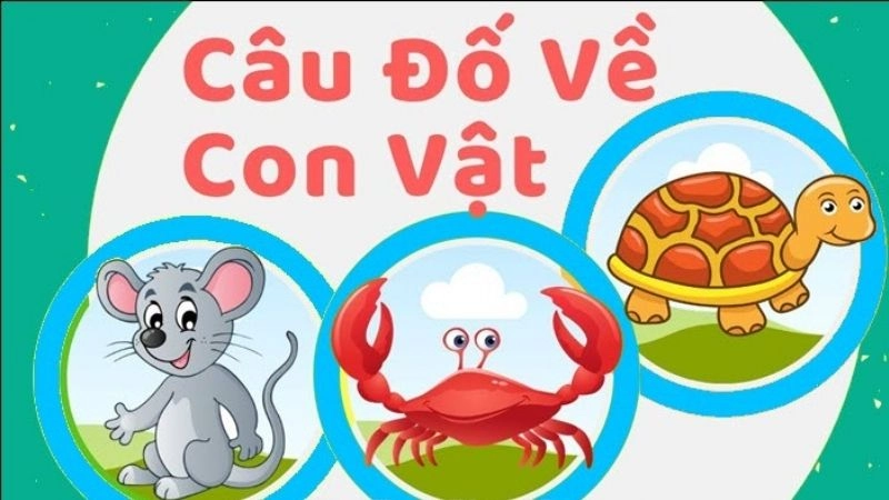Vui học với câu đố về con vật cho trẻ mầm non hay nhất