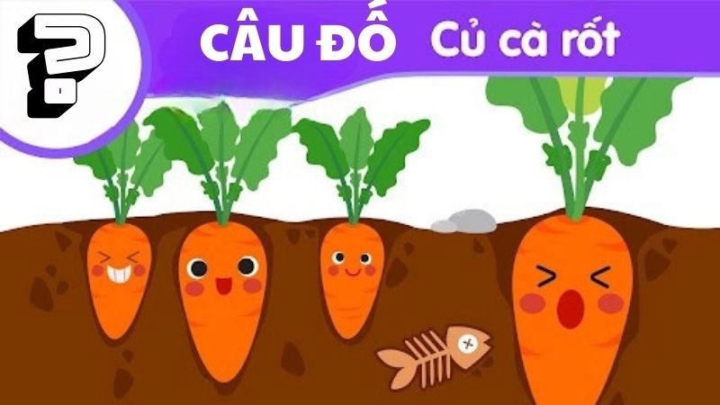 Vui học cùng bé với câu đố củ cà rốt độc đáo mà dễ hiểu