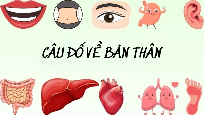 Trắc nghiệm đáng yêu bằng câu đố về bản thân cho trẻ em