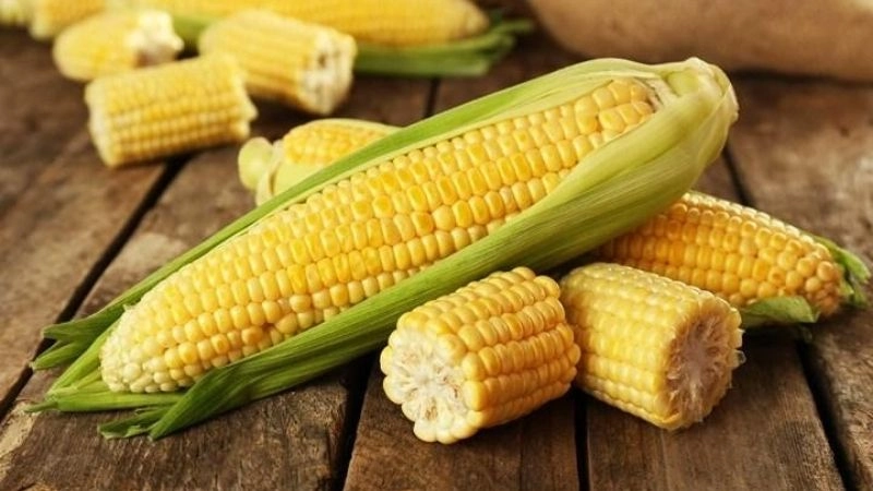 Câu đố về bắp ngô gợi nhớ hương đồng cỏ nội