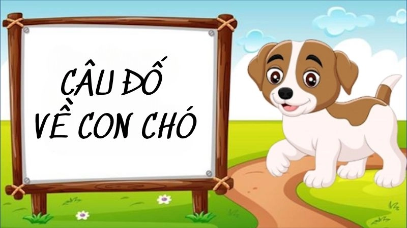 Câu đố về chó dễ thương kích thích tư duy cho trẻ nhỏ