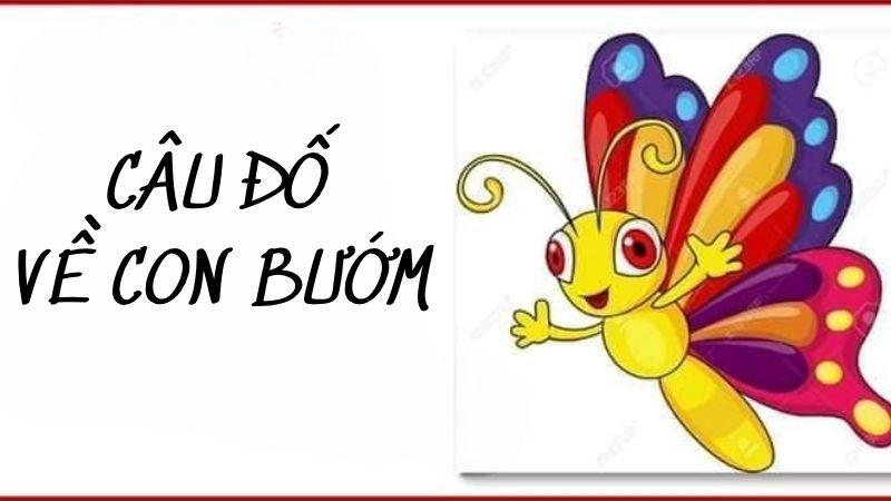 Khơi gợi trí thông minh bé qua loạt câu đố về con bướm