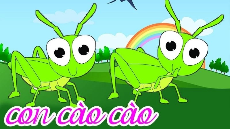 Câu đố về con cào cào vang tiếng gọi hè về