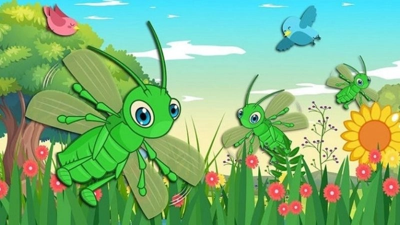 Câu đố về con cào cào nhảy múa giữa đồng xanh