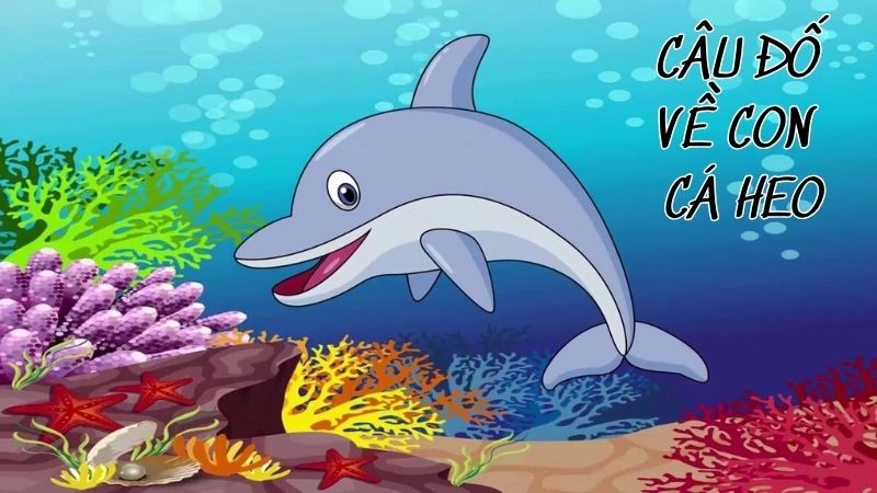 Câu đố về con cá heo giúp bé khám phá biển cả vui nhộn