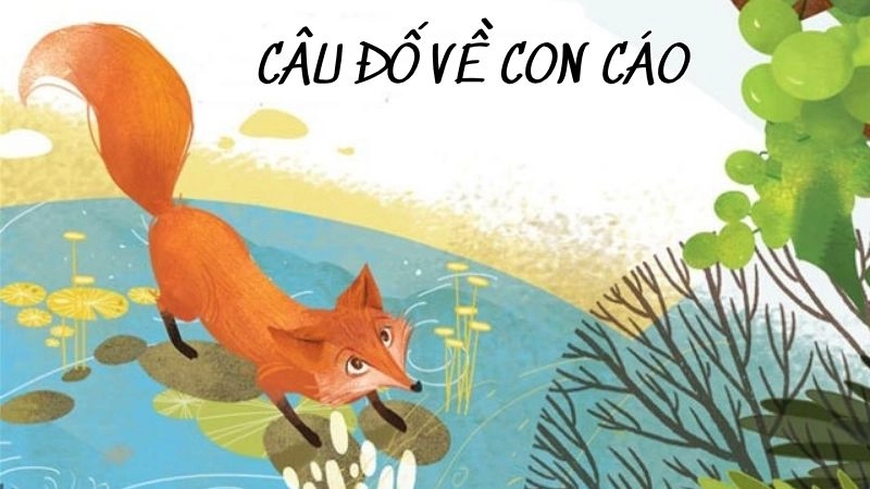 Rèn óc suy luận cho bé qua câu đố về con cáo thông minh