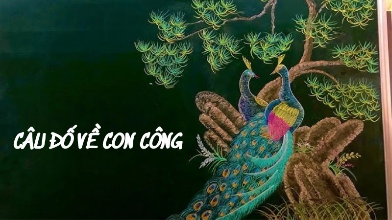 Những câu đố về con công giúp bé tăng tư duy hình ảnh