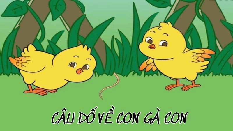 Câu đố về con gà con kích thích trí tưởng tượng bé yêu