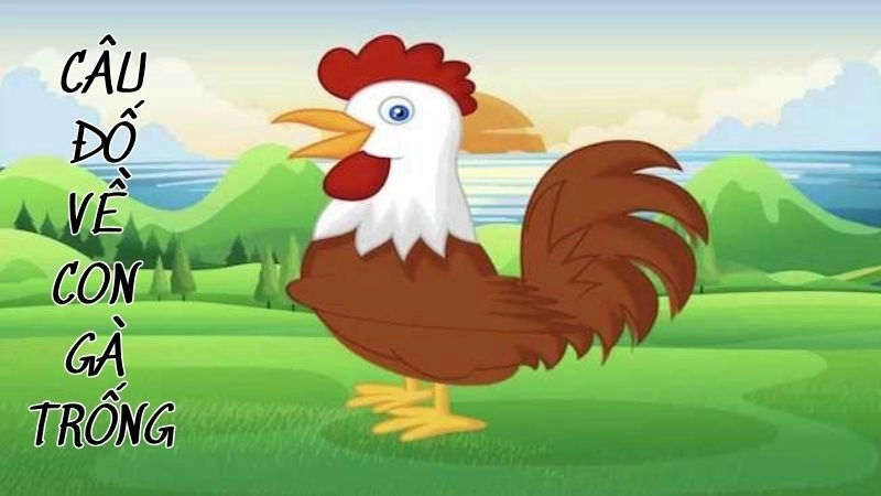 Tổng hợp câu đố về con gà trống cho bé dễ nhớ dễ thuộc
