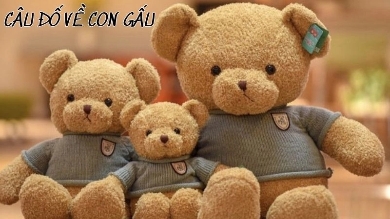 Khám phá câu đố về con gấu giúp tăng trí tưởng tượng