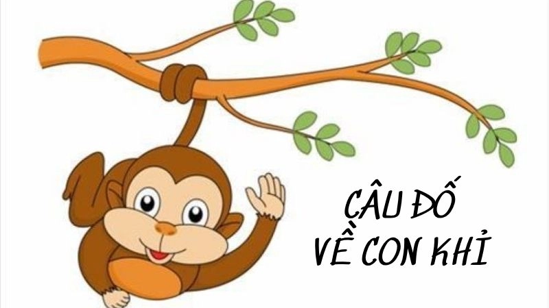 Gợi ý câu đố về con khỉ giúp trẻ em phát triển trí tuệ