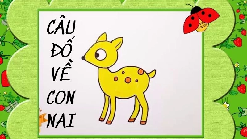 Hé lộ loạt câu đố về con nai đầy bất ngờ và thú vị