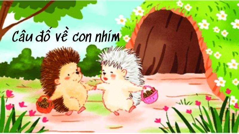 Tuyển tập câu đố về con nhím dí dỏm đậm màu dân gian