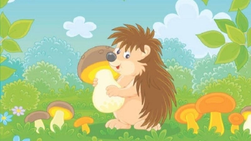 Câu đố về con nhím kích thích trí tưởng tượng trẻ
