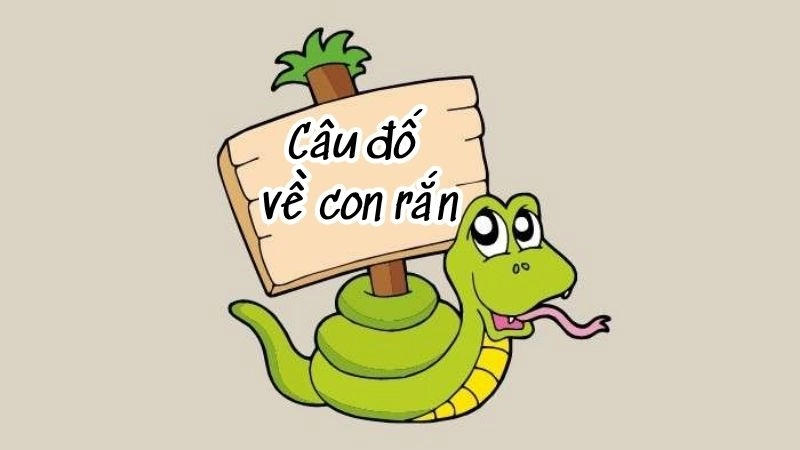 Loạt câu đố con rắn giúp bé vừa học vừa chơi siêu hay
