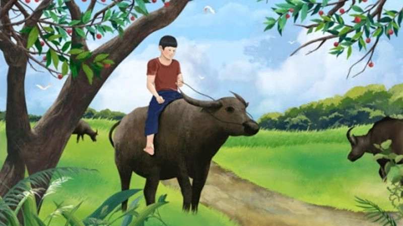 Câu đố về con trâu kích thích trí tò mò trẻ nhỏ