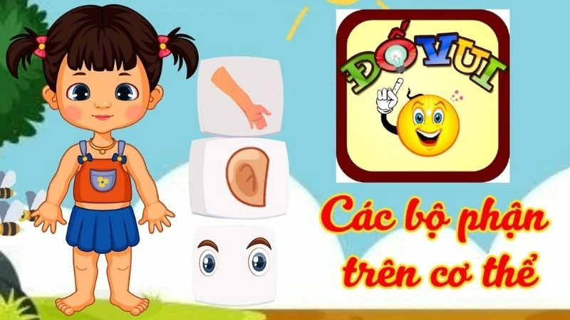 Câu đố về các bộ phận cơ thể giúp bé học nhanh