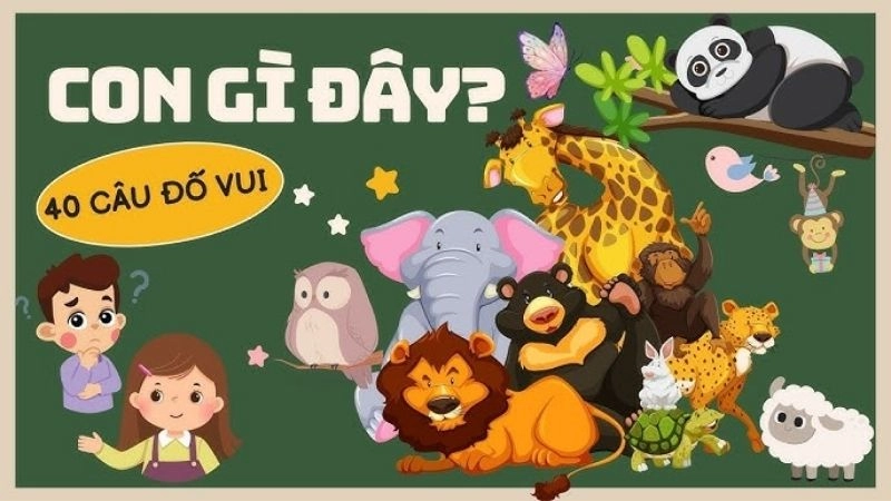 Câu đố về các loài vật khám phá thiên nhiên sống động