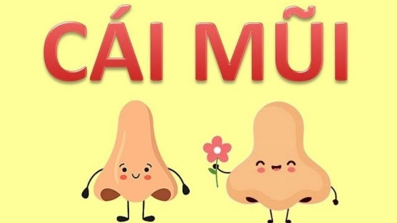 Câu đố về cái mũi rèn luyện khả năng quan sát