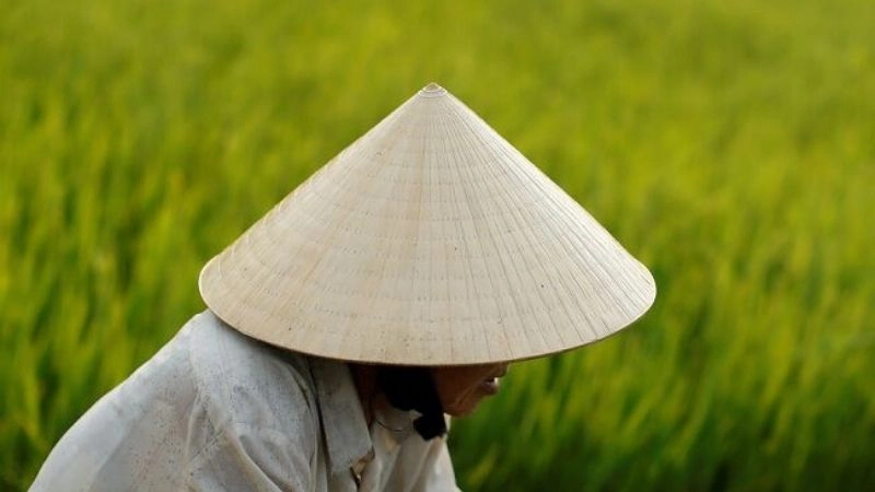 Câu đố về cái nón giúp trẻ khám phá đồ dùng quen thuộc