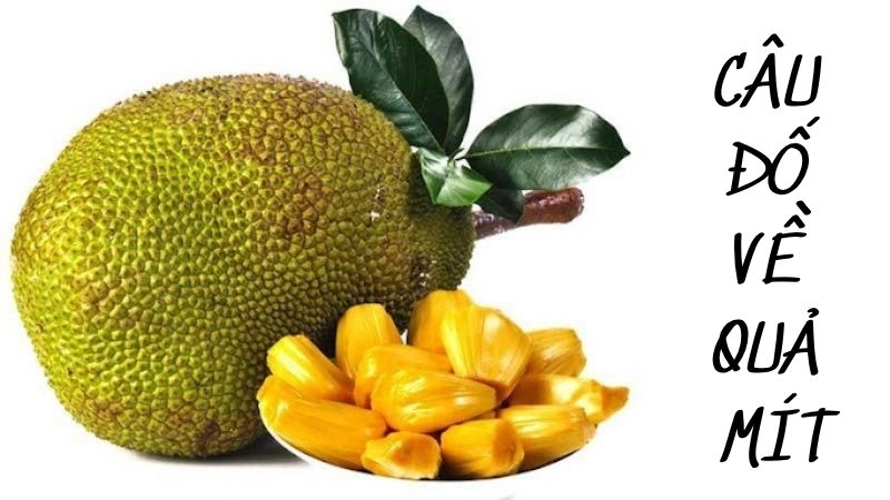 Những câu đố về quả mít giúp trẻ học mà chơi hiệu quả