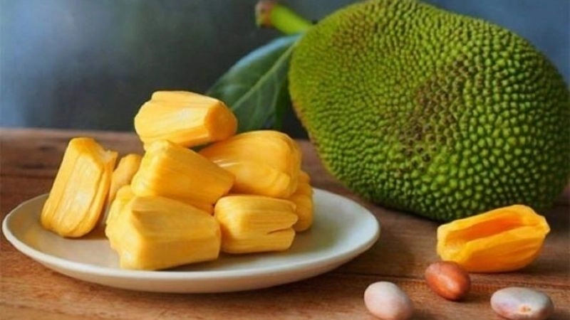 Câu đố về quả mít giúp trẻ khám phá loại quả dân dã