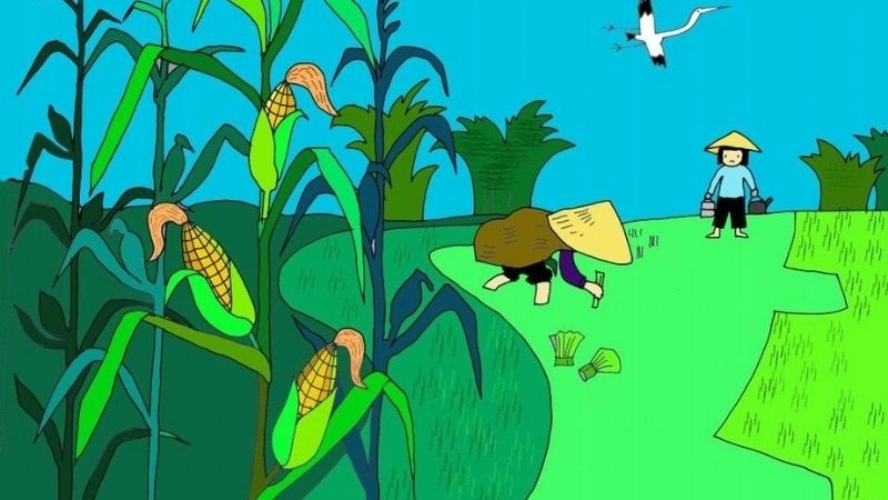 Câu đố về cây ngô giúp bé học qua hình ảnh quen thuộc