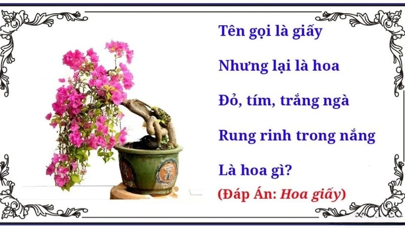 Khám phá câu đố về hoa giấy tinh tế, duyên dáng