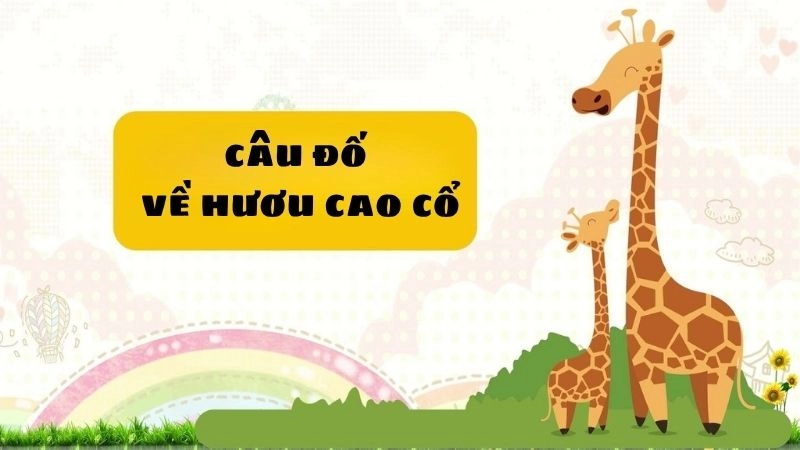 Khám phá câu đố về hươu cao cổ bé nào cũng thích mê