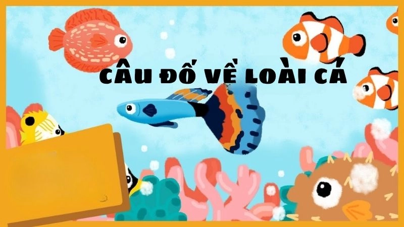 Câu đố về loài cá cho bé khám phá thế giới dưới nước