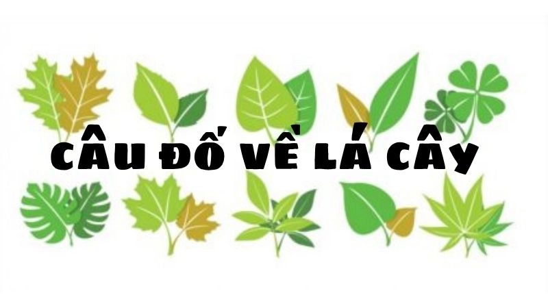 Câu đố về lá cây giúp trẻ khám phá thiên nhiên sống động