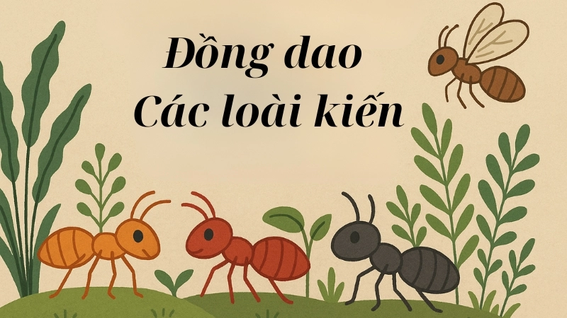 Đồng dao Các loài kiến giúp trẻ học về côn trùng