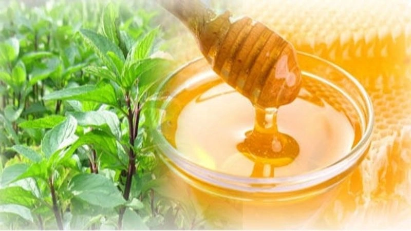 Mẹo dân gian trị ho cho trẻ sơ sinh an toàn